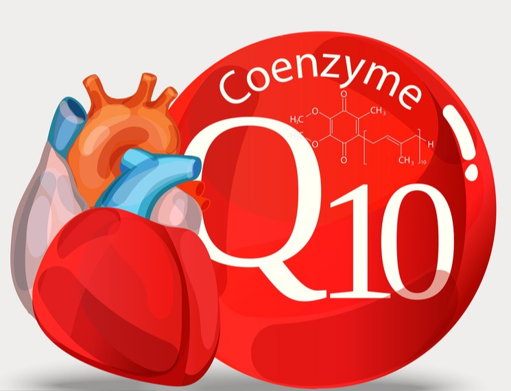 輔酶Q10——心臟的能量衛(wèi)士